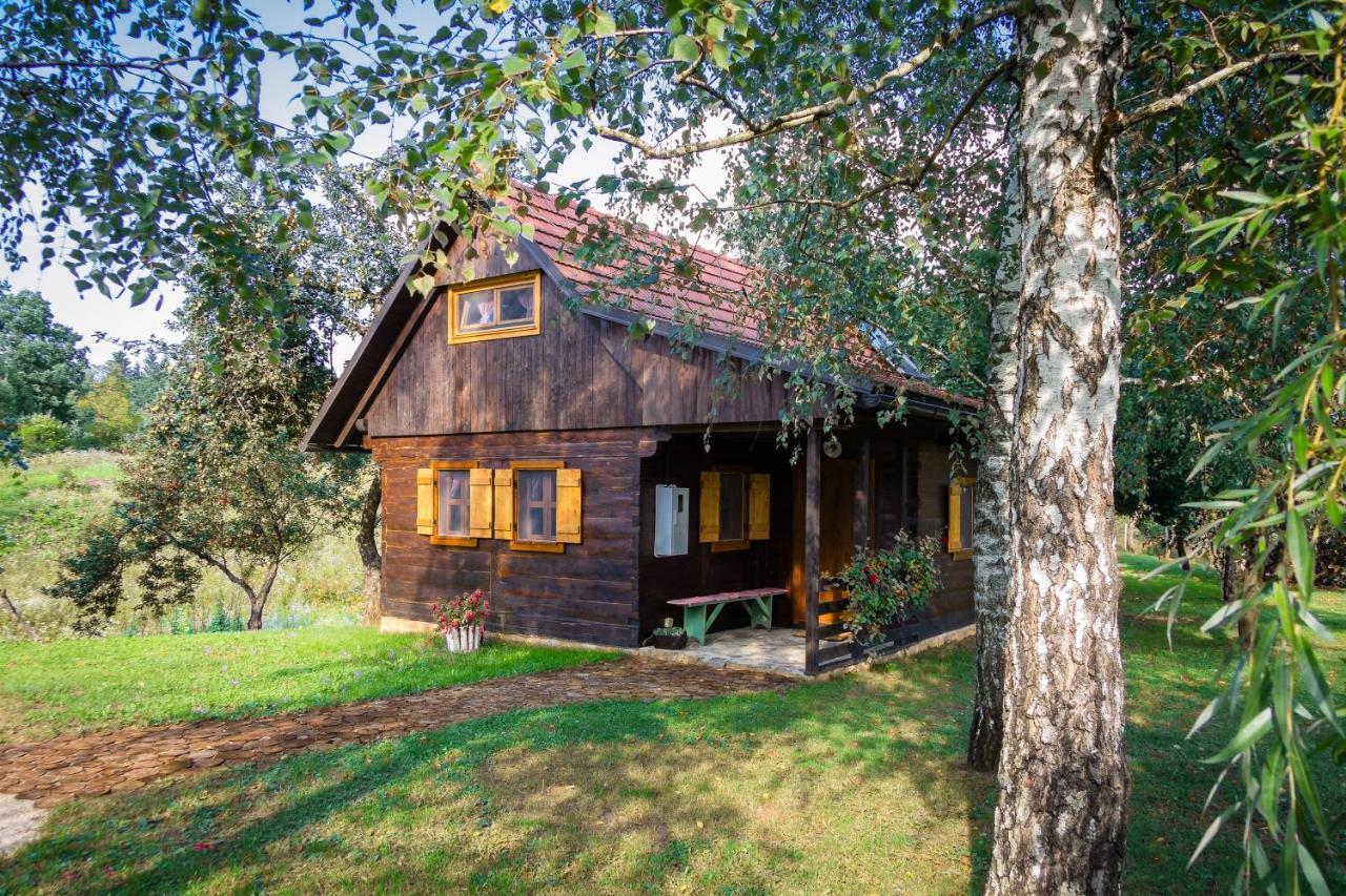 Villa Kuca Za Odmor Cindric Slunj Exterior foto